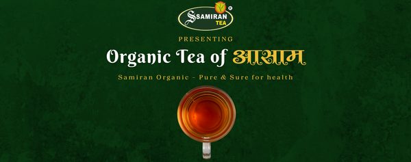 Samiran Tea: Buy 100% Organic Assam Tea Online | Handpicked from Assa